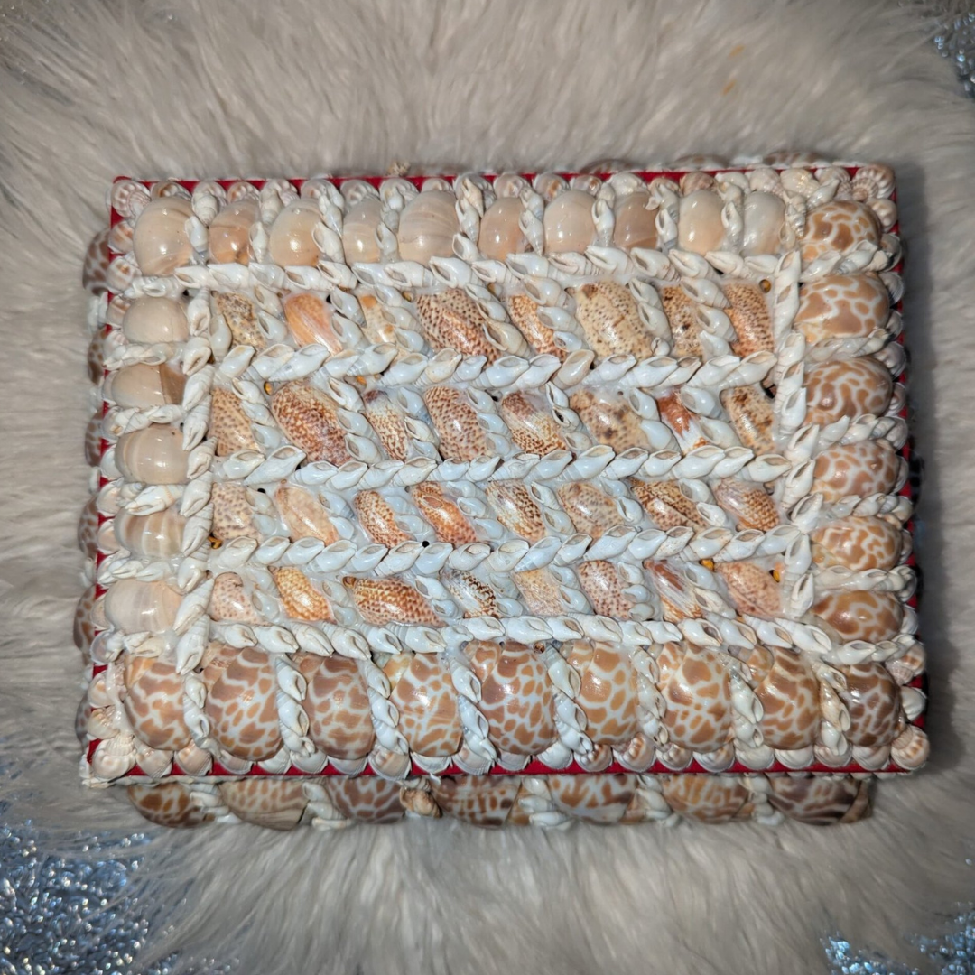 Seashell Jewelry Box