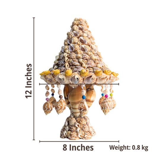 Seashell side table lamp with measurements and weight displayed on a white background.